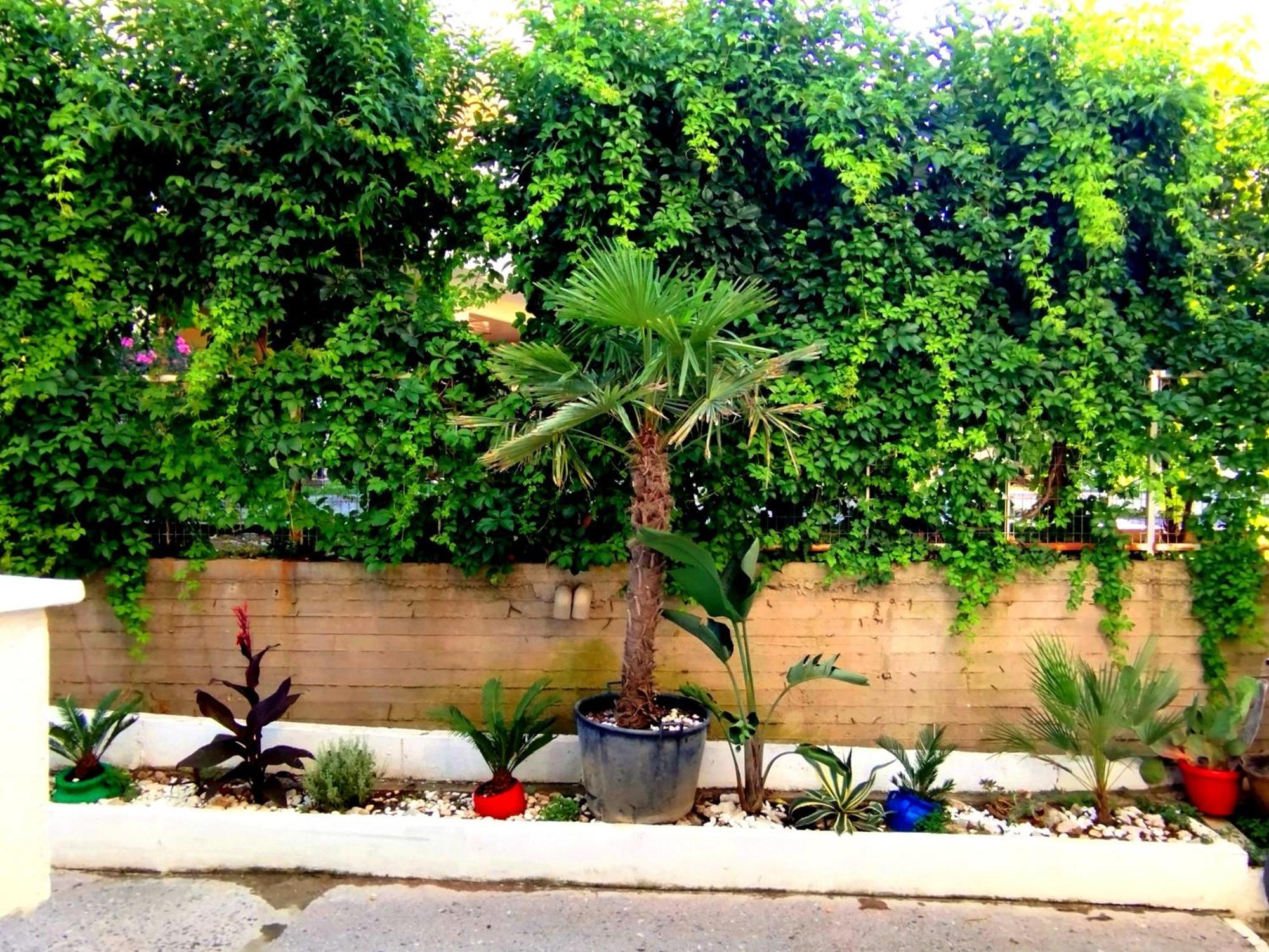 Antonia'S Cozy Apartment Hagia Triada Exterior foto